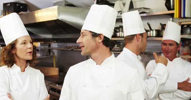 Professional Chefs Conversing in Busy Restaurant Kitchen - Download Free Stock Images Pikwizard.com