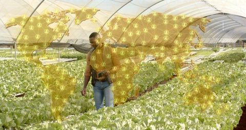 Innovative greenhouse agriculture with augmented reality mapping