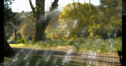Binary Grid Floating Over Park with Daffodils Illustrating Nature Technology