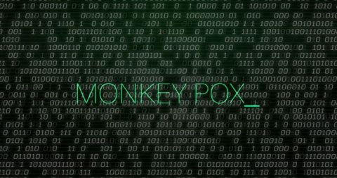 green neon 'monkey pox' text on futuristic binary code background - Download Free Stock Images Pikwizard.com