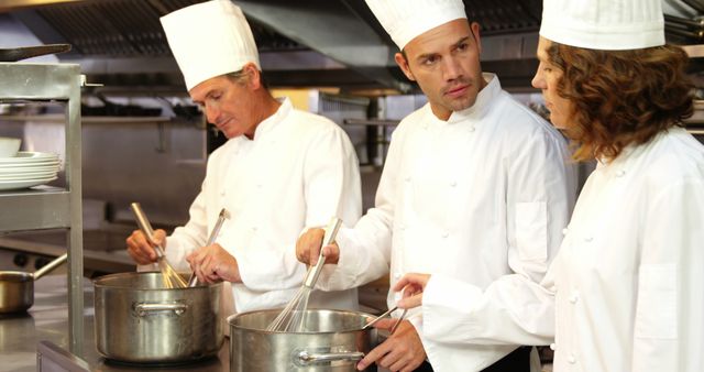 Professional Chefs Cooking in a Restaurant Kitchen - Download Free Stock Images Pikwizard.com