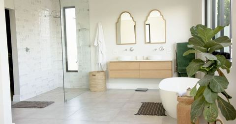 Modern Luxury Bathroom Design with Minimalist Features and Plant Decor