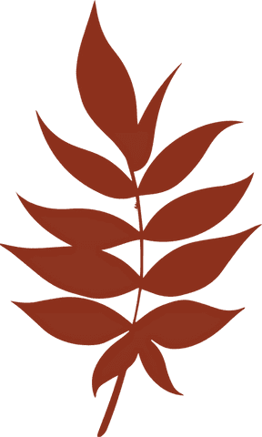 rust brown leaf branch silhouettes on transparent background - Download Free Stock Videos Pikwizard.com
