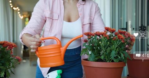 Woman tending potted chrysanthemums on balcony using orange watering can