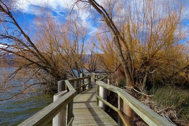 Wooden pathway through bare autumn trees along a calm lake. Perfect for nature travel guides, website backgrounds, and relaxation-themed materials.