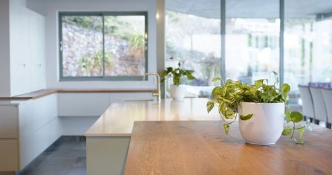 Minimalist Open-Plan Kitchen Featuring Wooden Island, Brass Faucet and Potted Green Plant