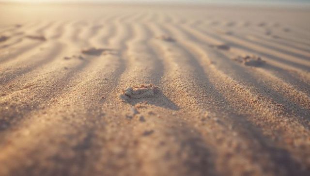 Sand ripples and mound illuminated by golden light