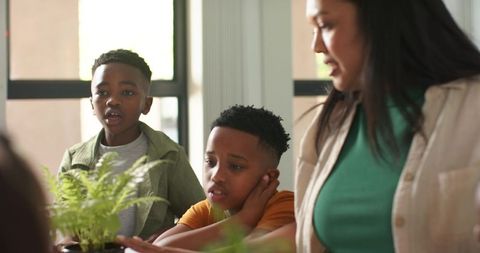 African american family caring for indoor fern at sunlit dining table, cozy bonding moment