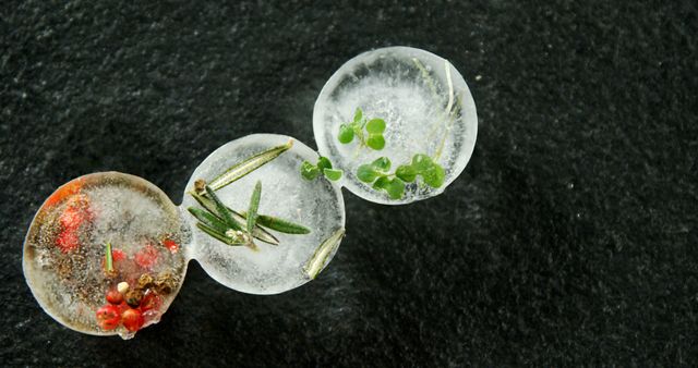 Three spherical ice balls containing herbs and spices are presented on a dark textured surface, with copy space. Their unique presentation suggests a creative twist for cooling drinks or garnishing cocktails.
