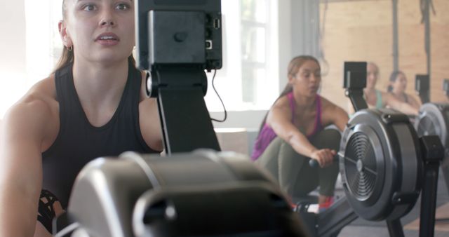 Focused Women Exercising on Rowing Machines in Fitness Class - Download Free Stock Images Pikwizard.com