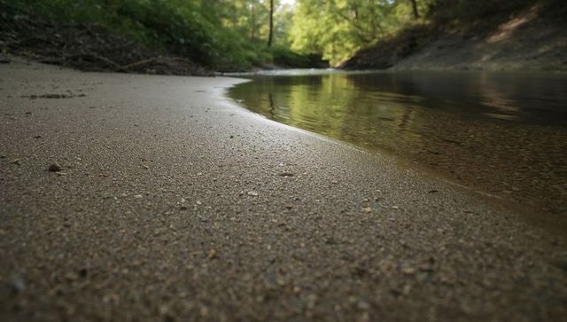 Curving Woodland Creek Shore with Pebble Texture and Green Foliage Reflections