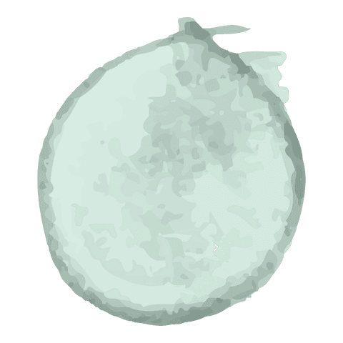 watercolor grey circular shape transparent png illustration - Download Free Stock Videos Pikwizard.com