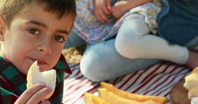 Young boy enjoying a sandwich while sitting on a picnic blanket, surrounded by fruits and other snacks. Ideal for ads and articles about family activities, outdoor meals, healthy snacks, and summer leisure time.