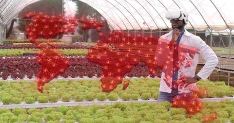 Innovative farming with vr and hydroponic technology in greenhouse