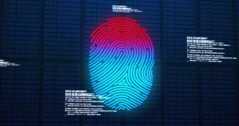 Fingerprint Identification System Digital Interface Technology - Download Free Stock Images Pikwizard.com