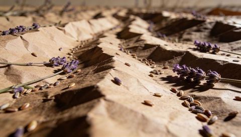 Lavender and wheat kernels on crumpled kraft paper with warm light and deep shadows