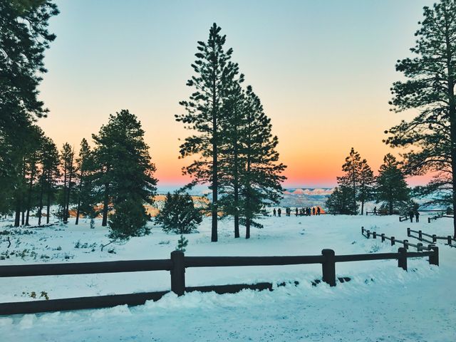 This serene winter landscape captures the beauty of sunset reflecting off the snow-covered trees. Perfect for use in travel websites, holiday greeting cards, winter season promotions, or nature blogs showcasing scenic snowy outdoors.