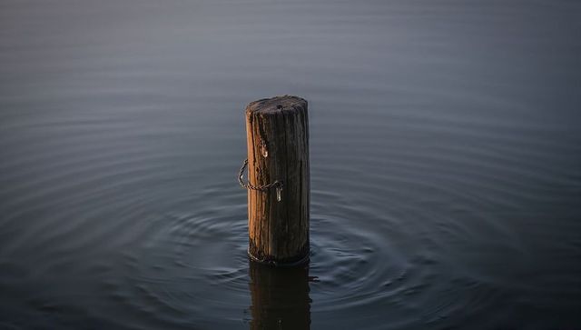 Weathered wooden piling catching golden light on calm water with ripples