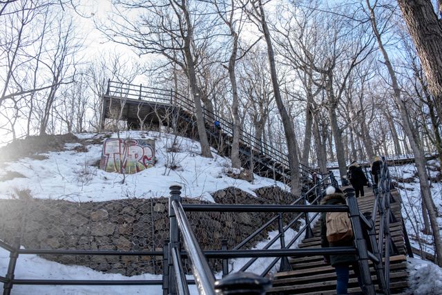This image shows people hiking up wooden stairs in a snowy forest area, with bare trees and some graffiti on a stone wall. This photo can be used in content related to outdoor activities in winter, forest hikes, nature adventures, and cold weather recreation.