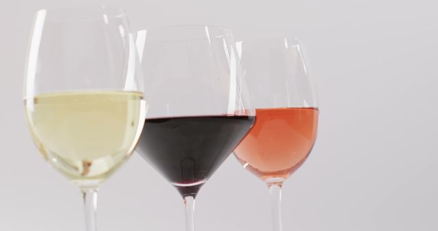 Close-up showing three different types of wine in glasses, perfect for use in articles or advertisements related to wine tasting, dining, lifestyle, and gourmet experiences. Suitable for illustrating concepts of variety in wines and luxury living.