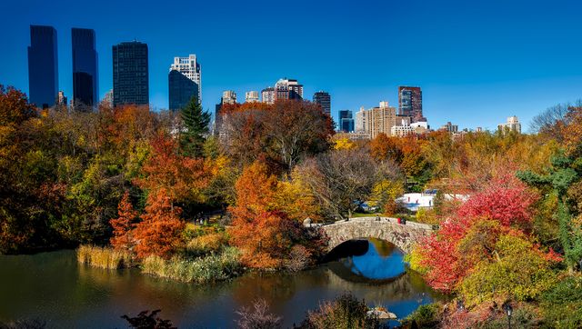 Central Park in New York City showcases vibrant autumn foliage with a calm lake, historic stone bridge, and the city's iconic skyline in the background. Perfect for use in blogs, travel websites, tourism promotions, posters, and seasonal campaigns highlighting urban nature.