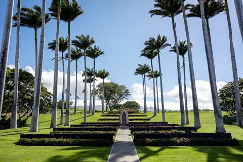 Tropical Landscape with Palm Trees and Pathway on Sunny Day