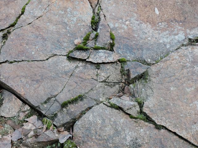 Weathered stone surface showing natural cracks and moss growth. Ideal background for geology presentations, natural texture studies, and outdoor-themed designs.