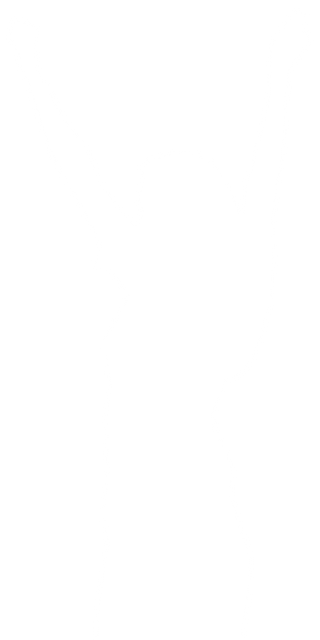 Silhouette of Woman Raising Hands in Triumph, Transparent Background - Download Free Stock Videos Pikwizard.com