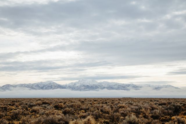 Sparse desert scene showing wide, flat ground with sparse shrubbery. Snow-capped mountain range in the background shrouded in mist and clouds under an overcast sky. Ideal for travel, nature conservation, or outdoor adventure themes.