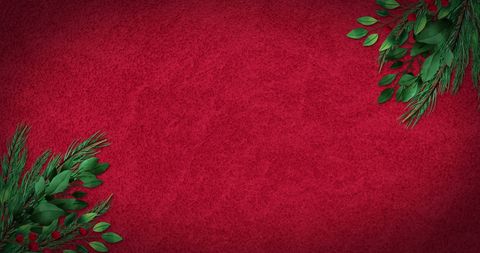 Festive Christmas Background With Bauble and Fir Tree Branches - Download Free Stock Images Pikwizard.com