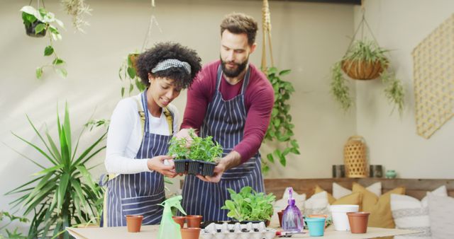 Couple Gardening Together in Cozy Indoor Plant Shed - Download Free Stock Images Pikwizard.com