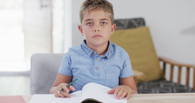 Young Boy Studying at Home Looking Serious - Download Free Stock Images Pikwizard.com