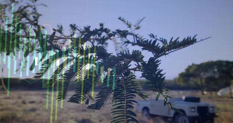 Tree branch showing sustainability data overlay with rural pickup and meadow