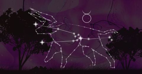 Taurus symbol with shining constellation and mystical trees
