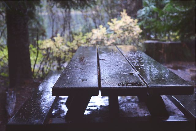 Wet wooden picnic table in rainy forest provides moody and tranquil scene perfect for themes of solitude, calm, and nature. Suitable for backgrounds, blog posts on outdoor experiences, rainy day reflections, and serene nature-themed designs.