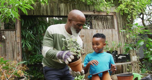 Grandfather teaching his young grandson gardening in backyard garden, holding a potted plant together. Ideal for content about family activities, outdoor hobbies, intergenerational bonding, education, and nature. Suitable for use in blogs, websites, articles on gardening, family time, and lifestyle promotions.