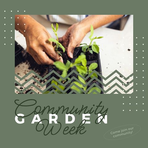 Hands Planting Seeds For Community Garden Week Celebration - Download Free Stock Templates Pikwizard.com