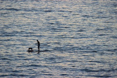 Person Paddleboarding with Dog on Tranquil Ocean Water