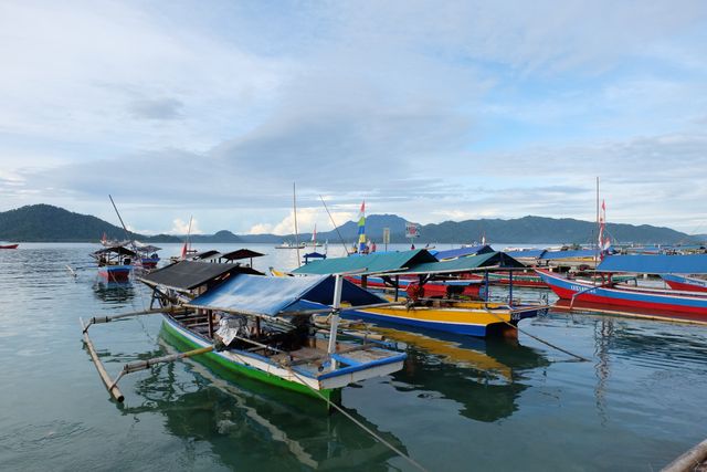 Colorful traditional boats float in a serene harbor, with a backdrop of lush mountains under a blue sky adorned with clouds. This image can be used for travel destinations, promoting outdoor activities, or in nature and adventure-themed publications.