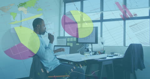 Analysis of Business Data by African American Professional