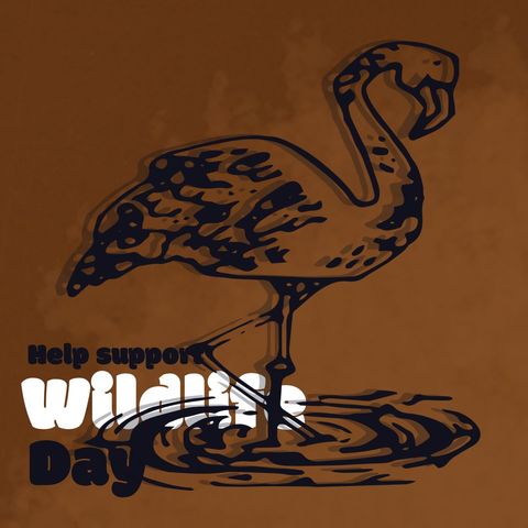 stylized flamingo illustration for wildlife awareness - Download Free Stock Templates Pikwizard.com