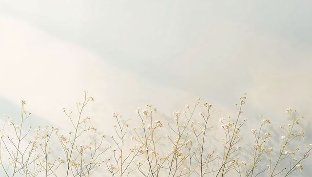 Swaying delicate white wildflowers in pastel minimalist meadow composition