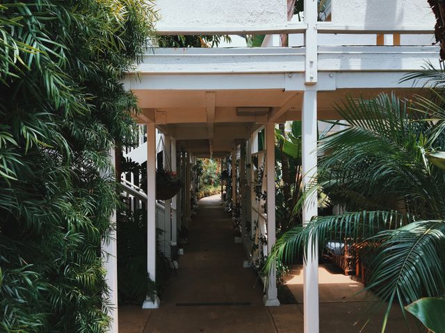 Walkway surrounded by dense tropical plants, creating a tranquil and serene atmosphere. Wooden structure framing path leads eyes through lush greenery. Ideal for nature-themed content, landscaping ideas, outdoor living inspirations, relaxation concepts, and garden design showcases.