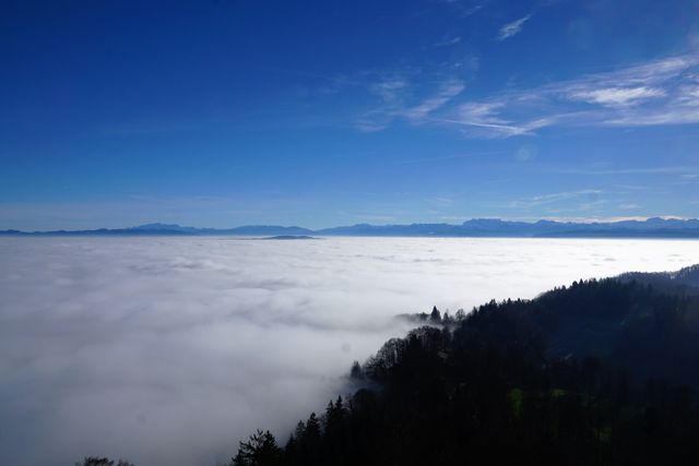 Mountain View Above Foggy Clouds Under Clear Blue Sky - Download Free Stock Photos Pikwizard.com