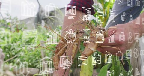 Gardener holding organic tubers with finance overlay in eco-friendly nursery