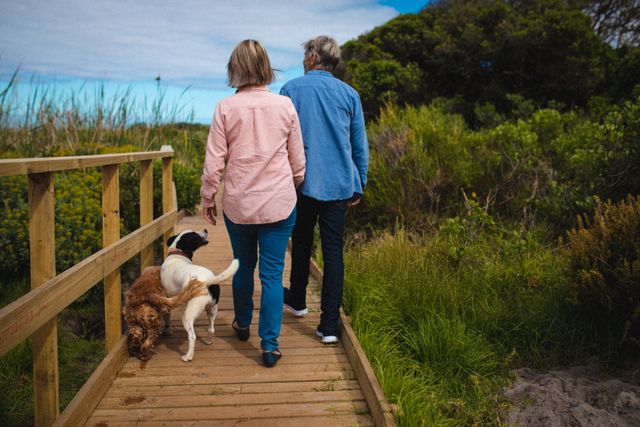 Senior couple walking with their dogs on a wooden bridge surrounded by lush greenery. Ideal for use in content related to retirement, active lifestyles, pet ownership, and outdoor activities. Perfect for promoting healthy living, nature walks, and family bonding.