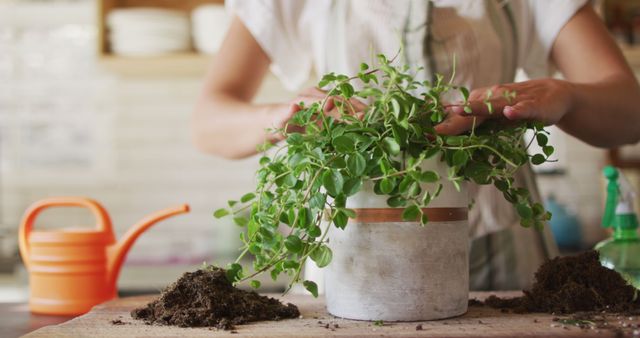 Woman repotting a green houseplant in a ceramic pot, with her hands carefully handling the plant. Scattered soil on the wooden surface and an orange watering can are visible. Ideal for content on indoor gardening, plant care guide, eco-friendly lifestyle, home decor tips, relaxation activities, and DIY gardening projects.