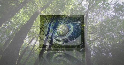 Merging technology and nature in eco-friendly art