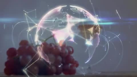 Digital Globe Innovation Over Grapes: Futuristic World Network