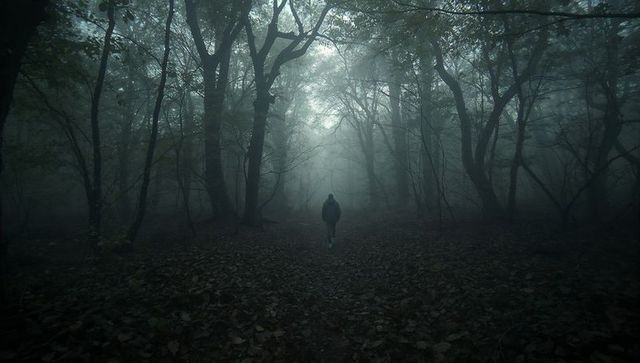 Hooded Figure Exploring Foggy Forest Path with Littered Leaves